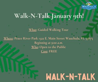 Walk-N-Talk