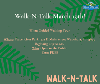 Walk-N-Talk